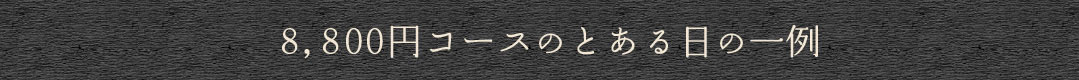 8,800円コースのとある日の一例