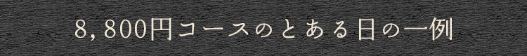 8,800円コースのとある日の一例