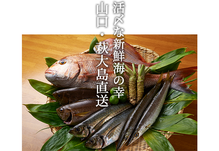 魚沼産コシヒカリ